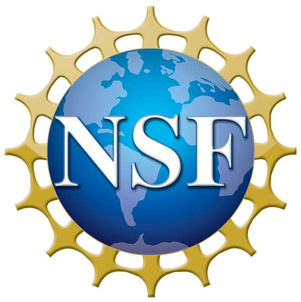 NSF Logo >